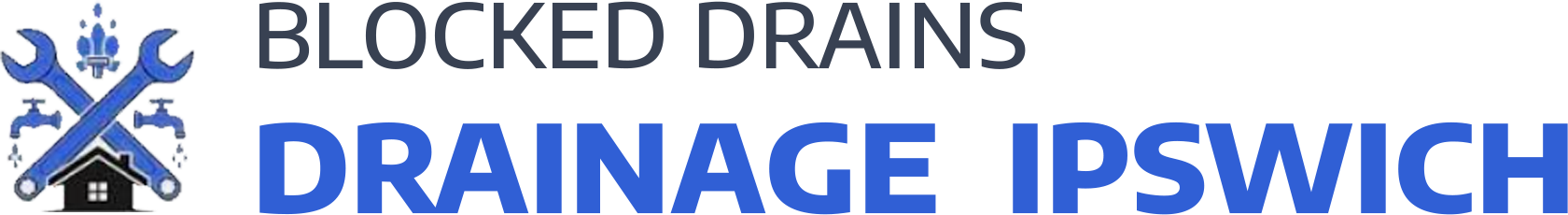 website logo